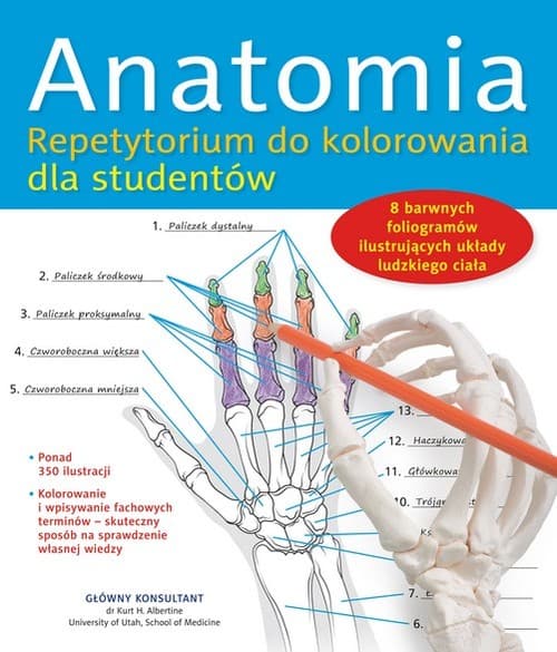 Anatomia. Repetytorium do kolorowania dla studentów