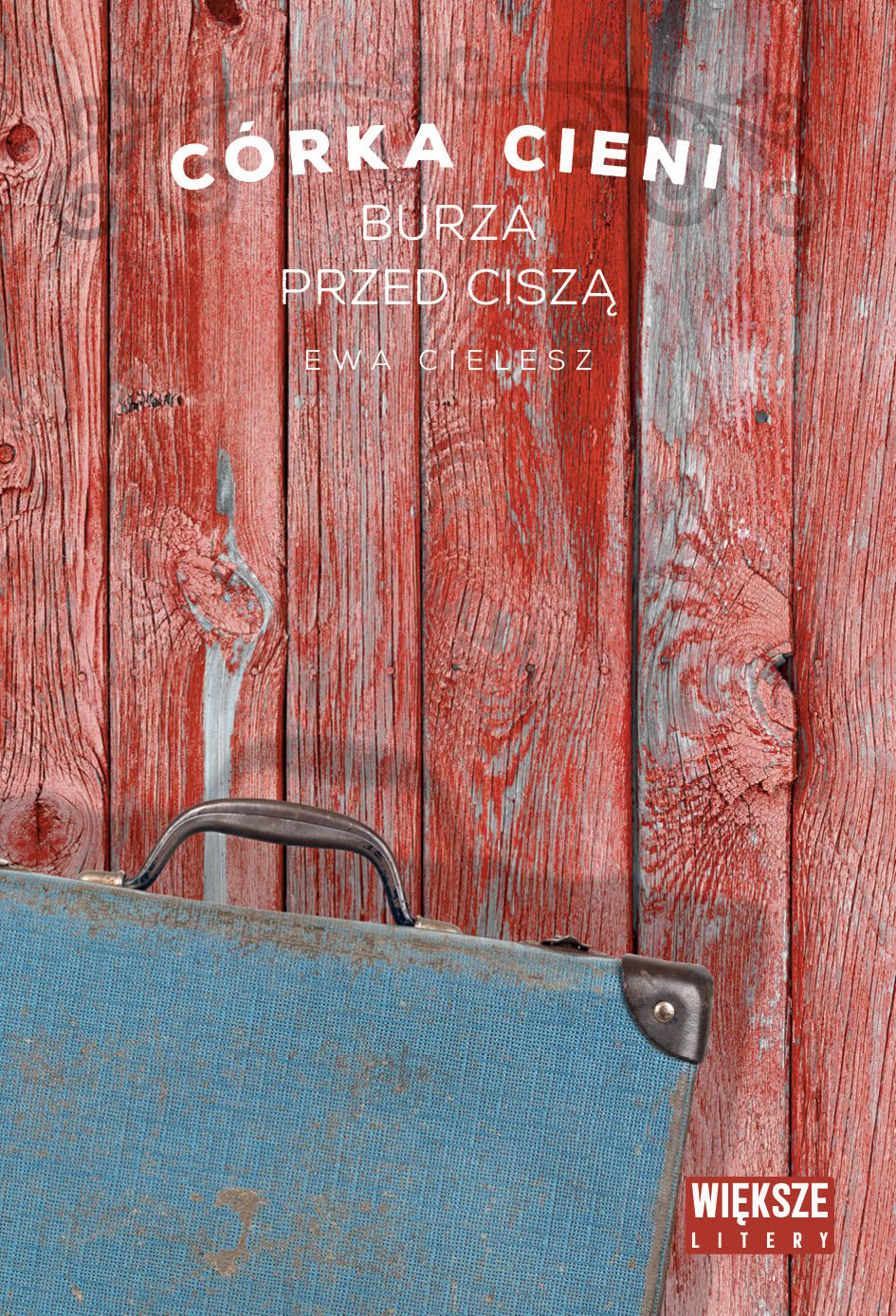 Córka cieni. Tom 3. Burza przed ciszą (Duże Litery)