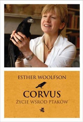 Corvus. Życie wśród ptaków