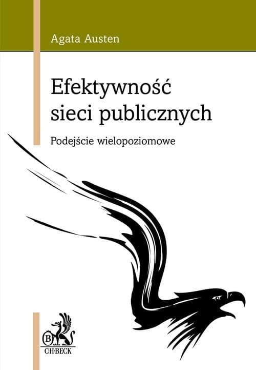 Efektywność sieci publicznych Podejście wielopoziomowe