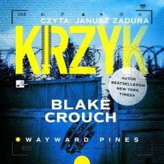 Krzyk Audiobook