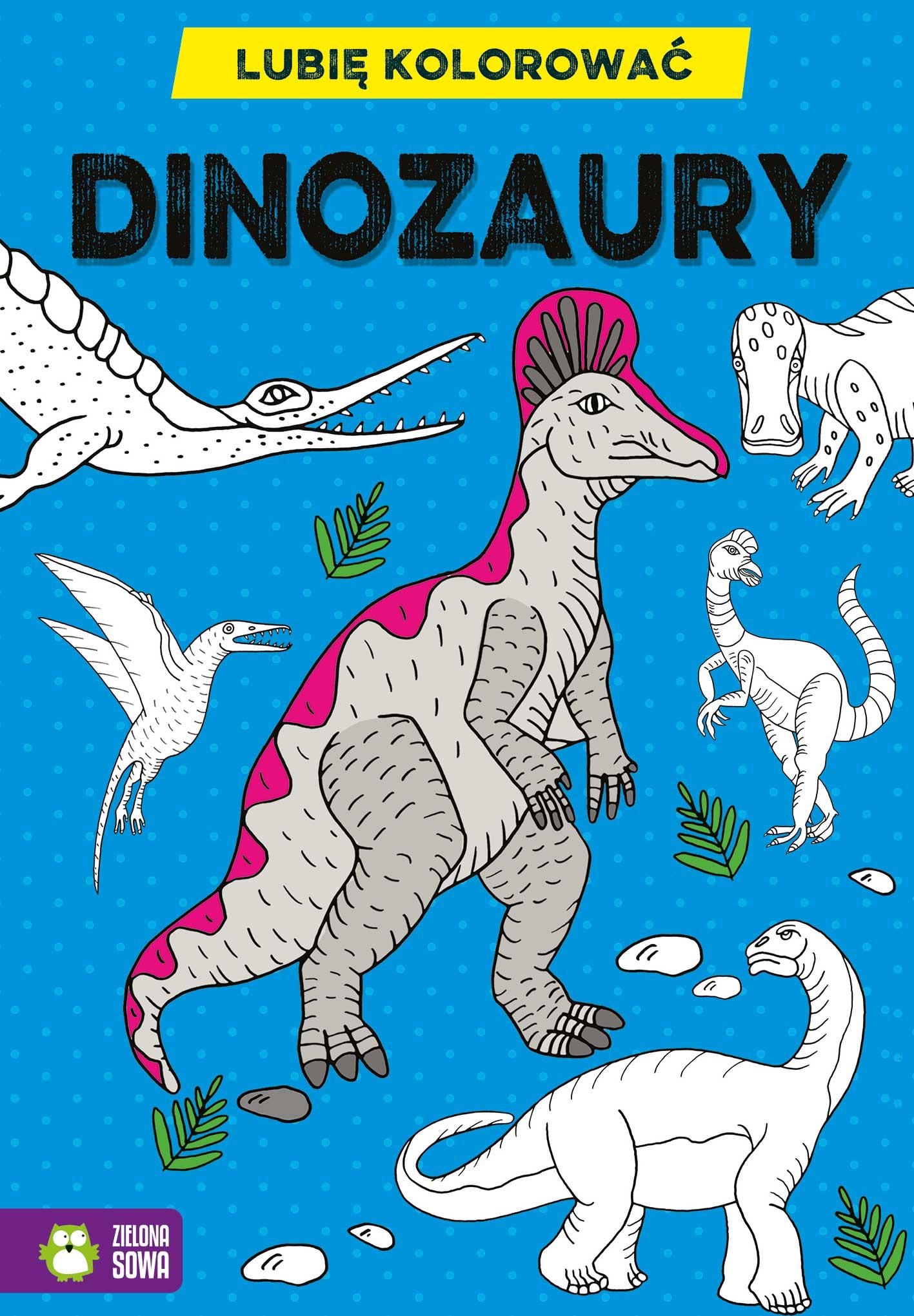 Lubię kolorować Dinozaury