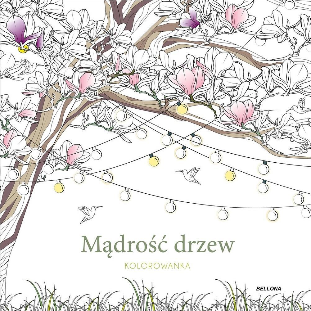 Mądrość drzew kolorowanka