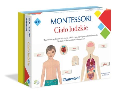 Montessori Ciało ludzkie