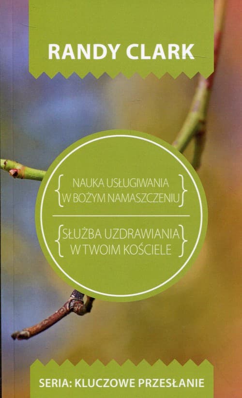 Nauka usługiwania w Bożym namaszczeniu Służba uzdrawiania w Twoim kościele