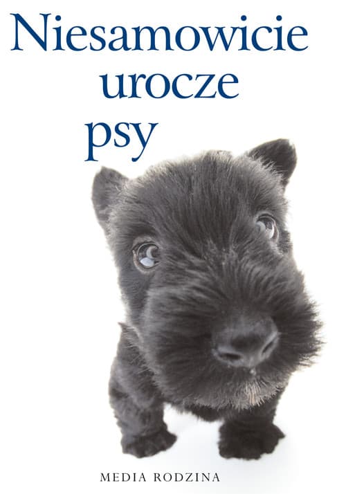 Niesamowicie urocze psy