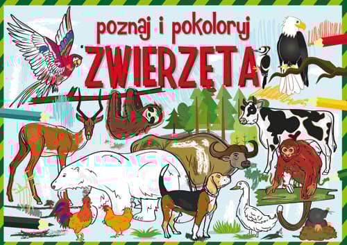 Poznaj i pokoloruj zwierzęta
