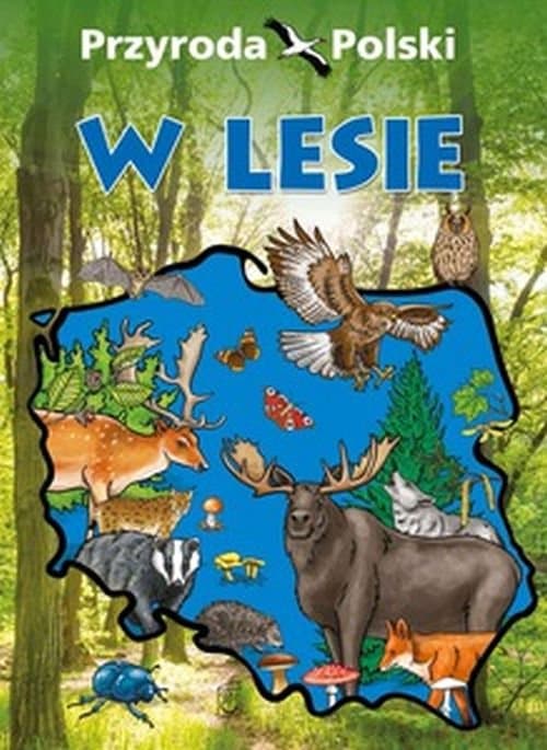 Przyroda Polski W lesie
