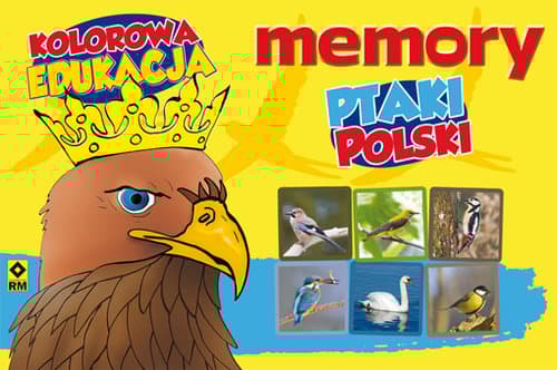 Ptaki Polski Memory Kolorowa Edukacja
