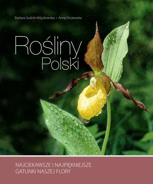 Rośliny Polski