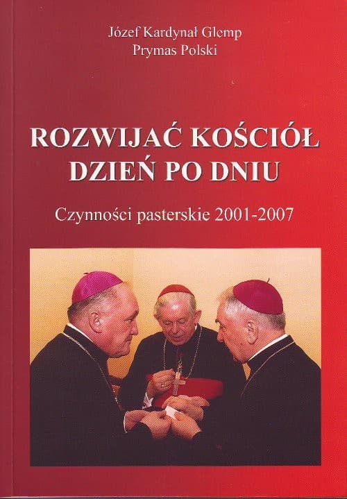 Rozwijać Kościół dzień po dniu Czynności pasterskie 2001-2007