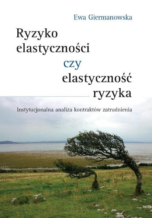 Ryzyko elastyczności czy elastyczność ryzyka Instytucjonalna analiza kontraktów zatrudnienia