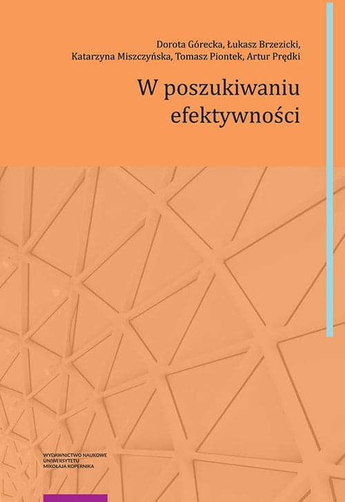 W poszukiwaniu efektywności