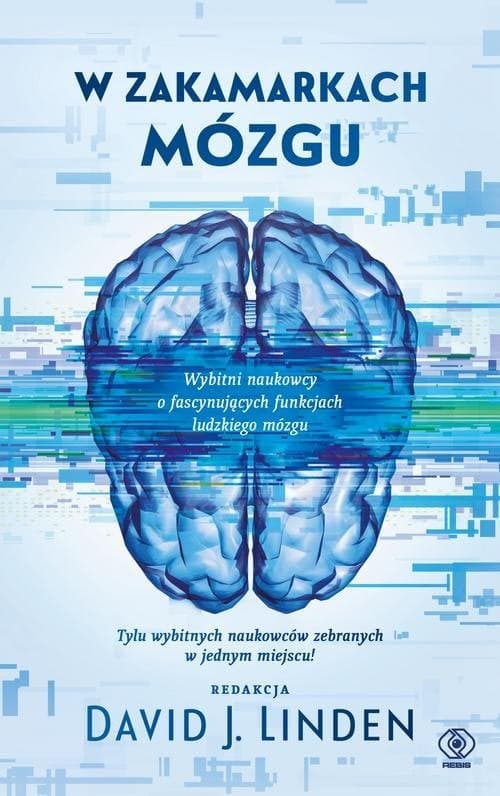 W zakamarkach mózgu
