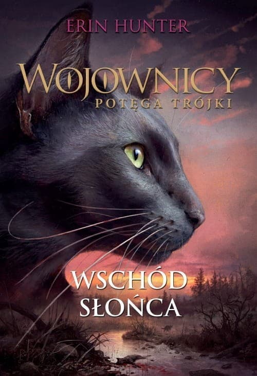 Wojownicy Potęg trójki Wschód słońca