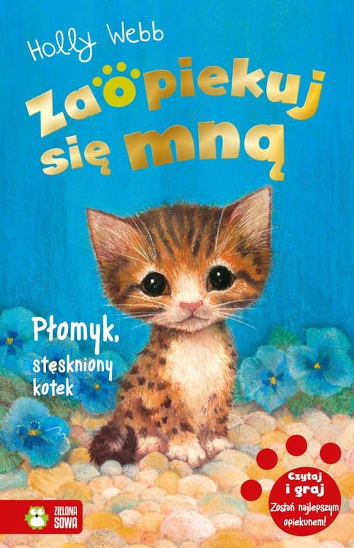 Zaopiekuj się mną Płomyk stęskniony kotek