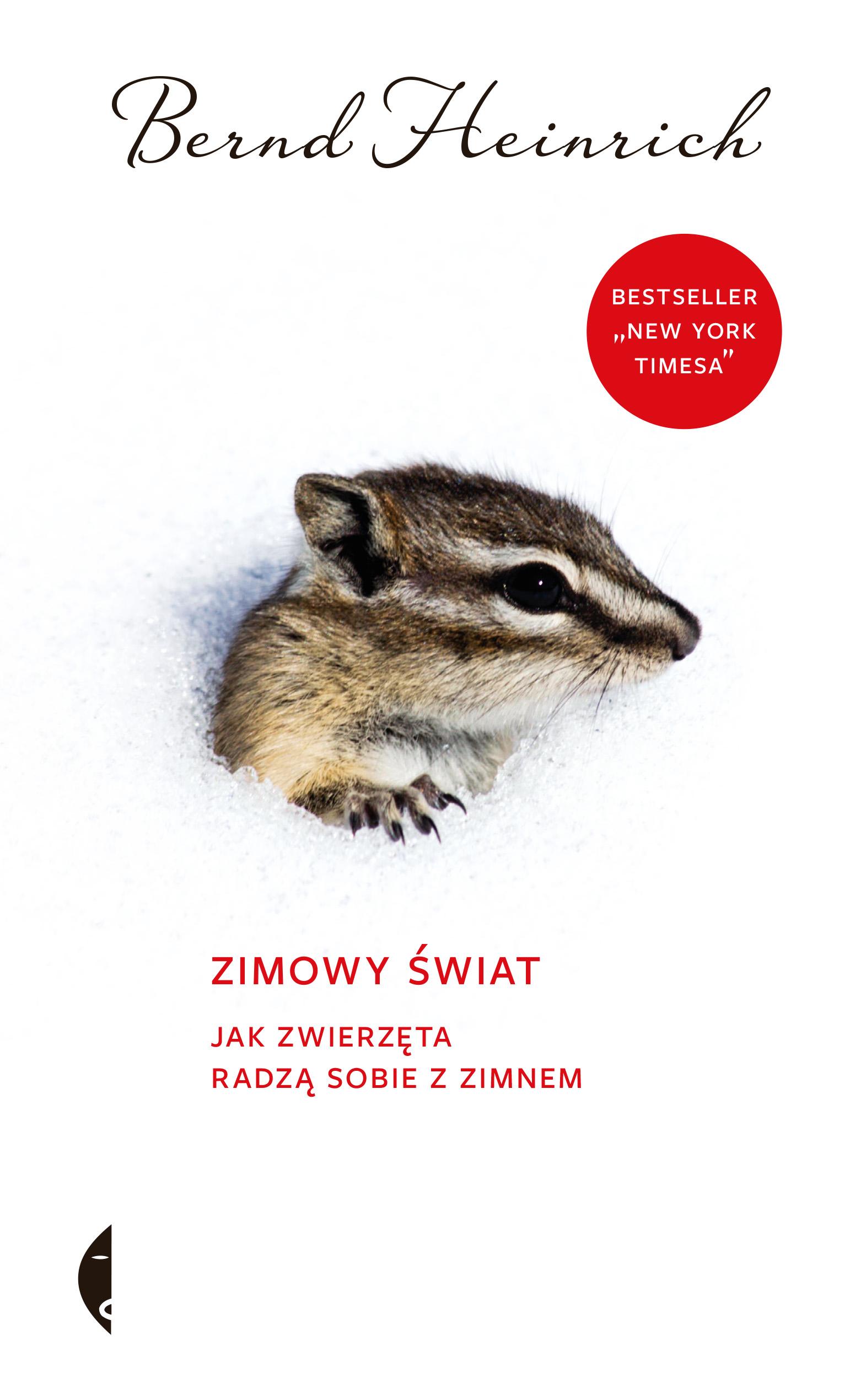 Zimowy świat jak zwierzęta radzą sobie z zimnem