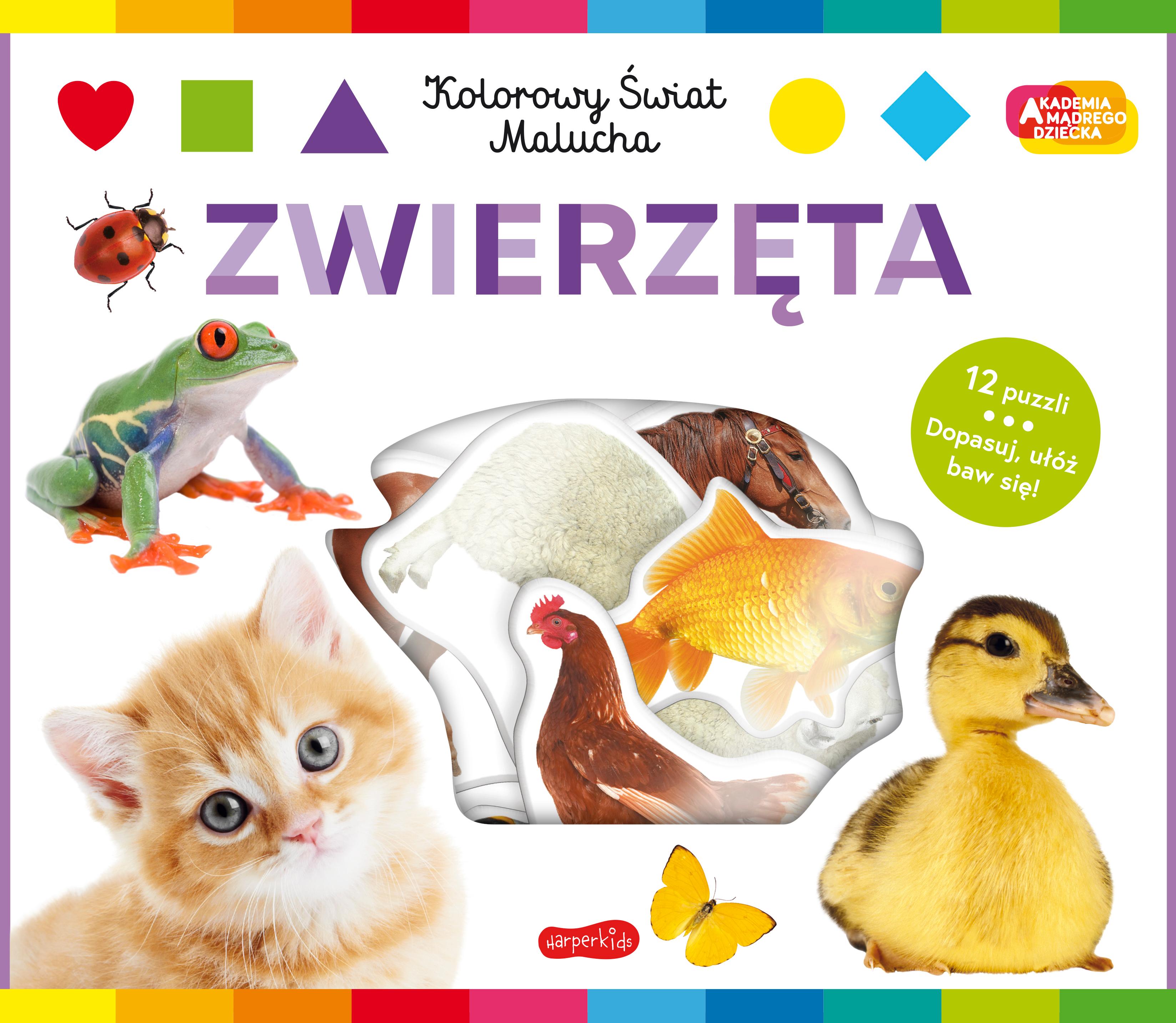 Zwierzęta. Akademia mądrego dziecka. Kolorowy świat malucha