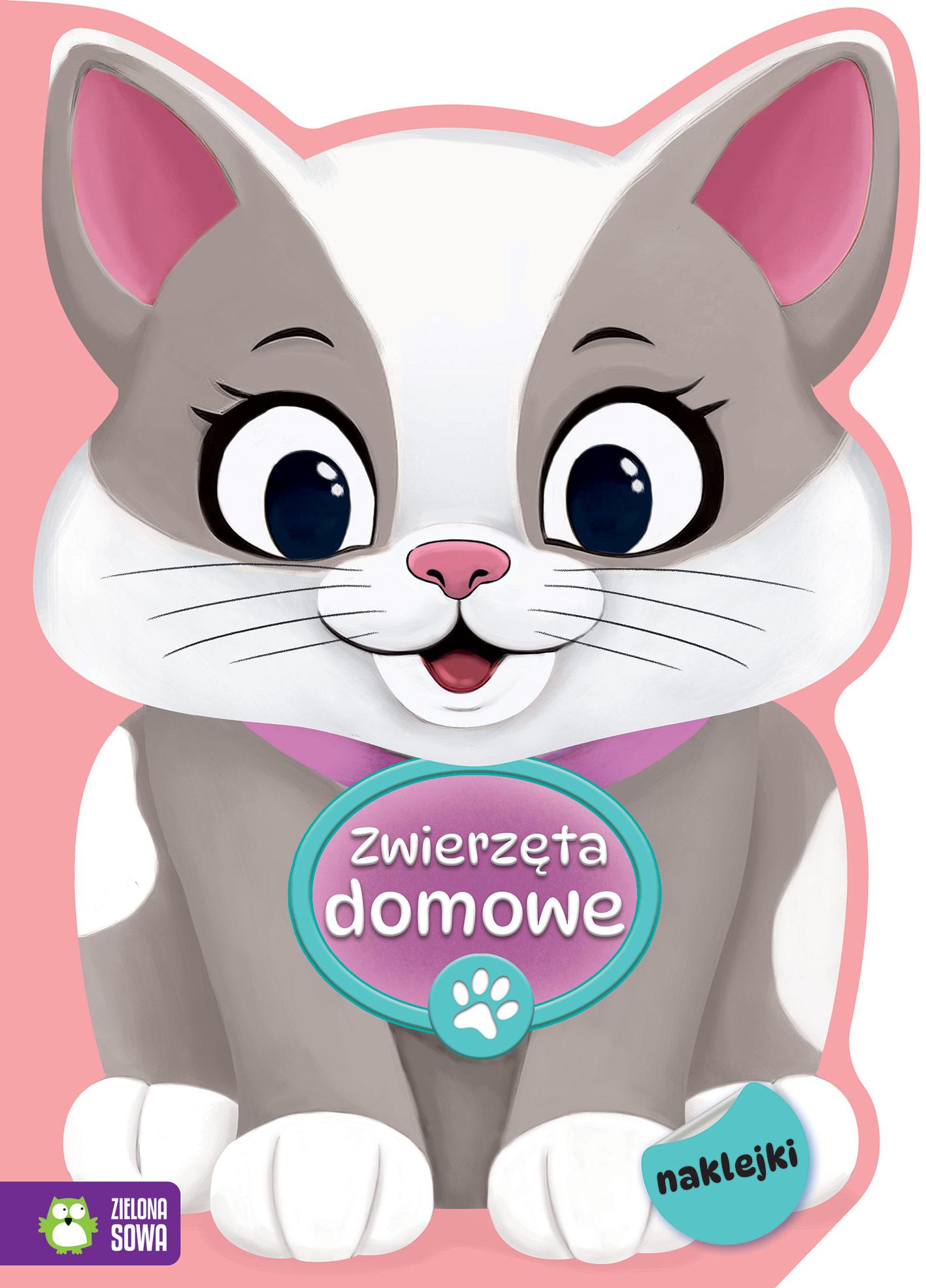 Zwierzęta domowe. Na tropie kolorów