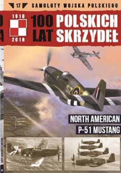 100 lat polskich skrzydeł Tom 17 North American P-51 Mustang - Matusiak Wojtek