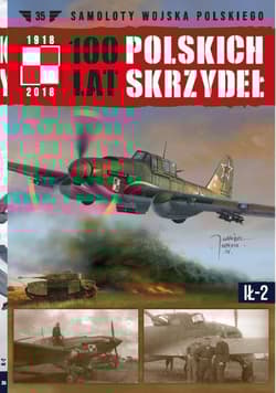 100 lat polskich skrzydeł Tom 35 Ił 2