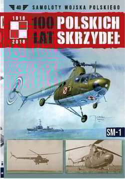 100 lat polskich skrzydeł Tom 40 SM-1