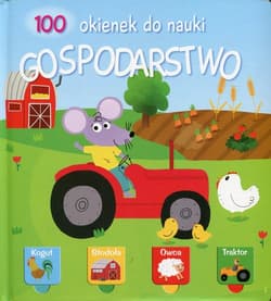 100 okienek do nauki Gospodarstwo