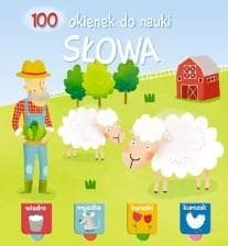100 okienek do nauki. Słowa - Praca zbiorowa