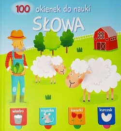 100 okienek do nauki Słowa