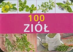 100 ziół pudełko - Gay Jutta, Kothe Hans W.