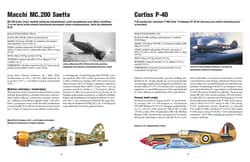 Galeria - zdjęcie nr. 4 - 101 słynnych samolotów myśliwskich Legendarne myśliwce od I wojny światowej do dzisiaj