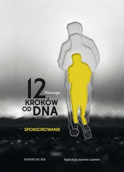 12 kroków od dna Sponsorowanie - Meszuge