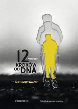 12 kroków od dna Sponsorowanie - Meszuge