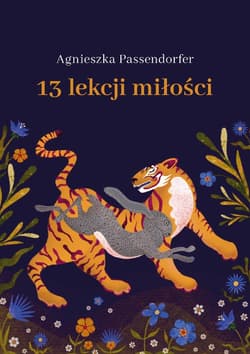 13 lekcji miłości - ebook - Agnieszka Passendorfer