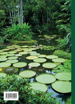 Galeria - zdjęcie nr. 3 - 150 Gardens You Need to Visit Before You Die wer. angielska