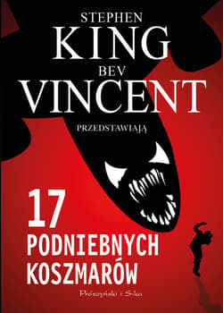 17 podniebnych koszmarów - ebook - Stephen  King, Bev Vincent