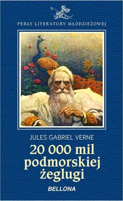 20 000 mil podmorskiej żeglugi - Jules Verne