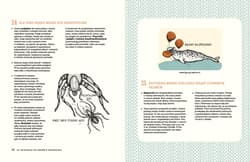 Galeria - zdjęcie nr. 4 - 321 intrygujących faktów o zwierzętach