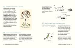 Galeria - zdjęcie nr. 3 - 321 intrygujących faktów o zwierzętach