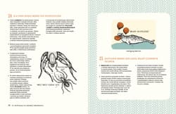 Galeria - zdjęcie nr. 5 - 321 intrygujących faktów o zwierzętach