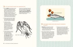 Galeria - zdjęcie nr. 4 - 321 intrygujących faktów o zwierzętach. Superciekawe fakty wyd. 2025