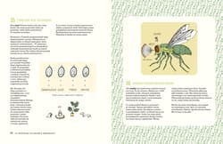 Galeria - zdjęcie nr. 5 - 321 intrygujących faktów o zwierzętach. Superciekawe fakty wyd. 2025