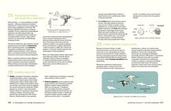 Galeria - zdjęcie nr. 4 - 321 niesamowitych faktów przyrodniczych