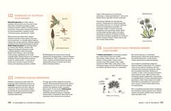 Galeria - zdjęcie nr. 5 - 321 niesamowitych faktów przyrodniczych