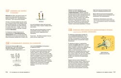 Galeria - zdjęcie nr. 2 - 321 pasjonujących faktów naukowych