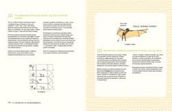 Galeria - zdjęcie nr. 2 - 321 pasjonujących faktów naukowych