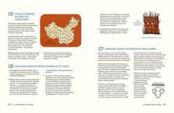 Galeria - zdjęcie nr. 2 - 321 superciekawych faktów, które trzeba poznać, zanim się skończy 13 lat