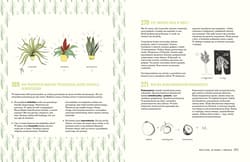 Galeria - zdjęcie nr. 3 - 321 superciekawych faktów, które trzeba poznać, zanim się skończy 13 lat