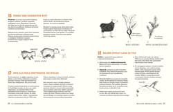 Galeria - zdjęcie nr. 5 - 321 superciekawych faktów, które trzeba poznać, zanim się skończy 13 lat