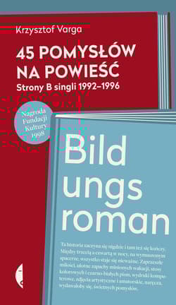 45 pomysłów na powieść - Krzysztof  Varga